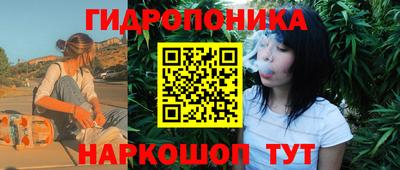 спайс Гай