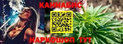 индика Гагарин