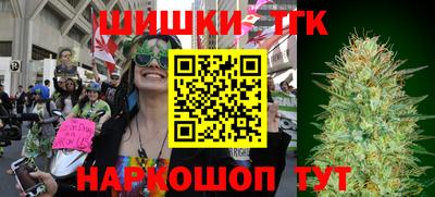 индика Гагарин