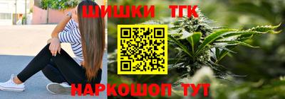 индика Гагарин