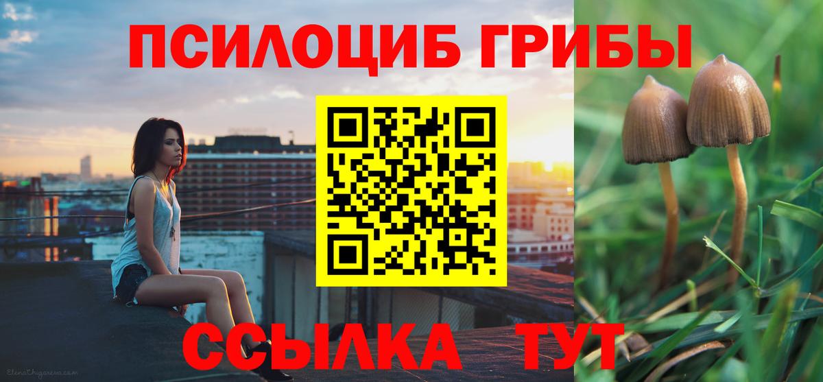 Набережные Челны  Псилоцибиновые грибы GOLDEN TEACHER  Вход с VPN 